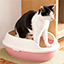 猫用品 トイレ・猫砂